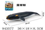 <img src=/UpLoadFile/BigPic/2024_1/943577.jpg width=300>