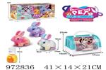 <img src=/UpLoadFile/BigPic/2025_5/972836.jpg width=300>